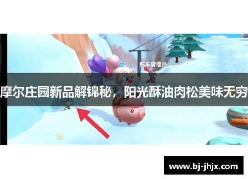 摩尔庄园新品解锦秘，阳光酥油肉松美味无穷