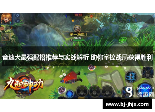 音速犬最强配招推荐与实战解析 助你掌控战局获得胜利